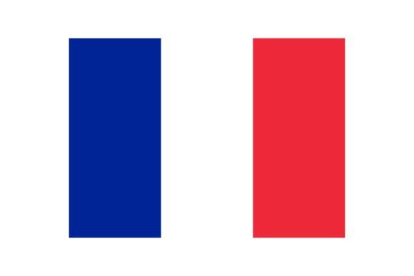 Download Vector Icon with France Flag. National S - France Collection