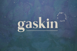 Download Gaskin - Premium Bundle